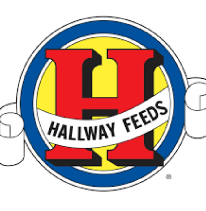 Hallway Feeds